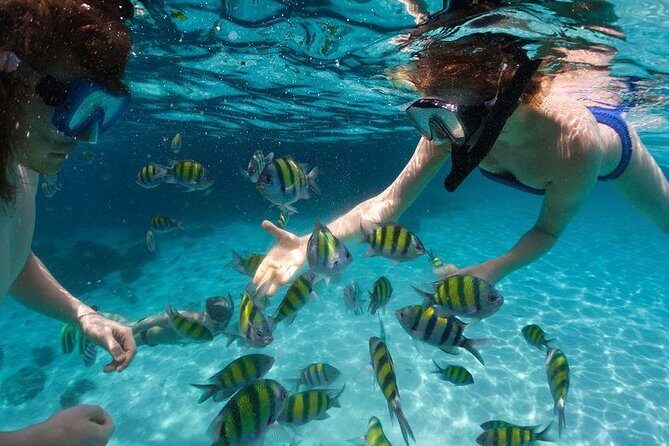 Family Snorkeling Adventure Punta Cana - Bavaro Beach Snorkeling: Fish, Reefs, and What Can Change Day to Day