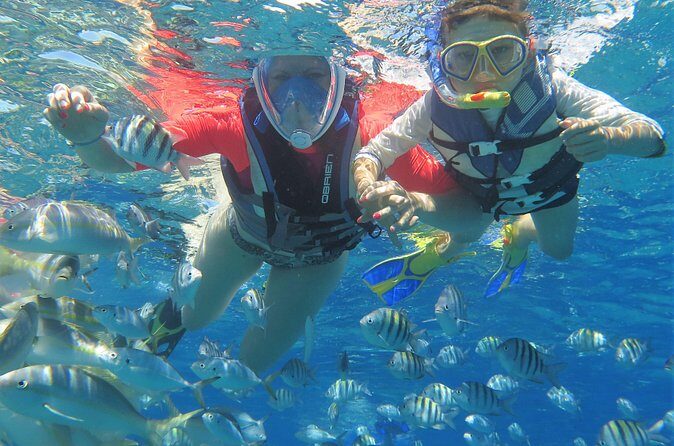 Family Snorkeling Adventure Punta Cana - Food, Drinks, and the Practical Stuff (Including Alcohol)
