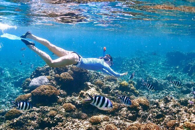 Family Snorkeling Adventure Punta Cana - Photos and Keepsakes: The One Thing Not Included