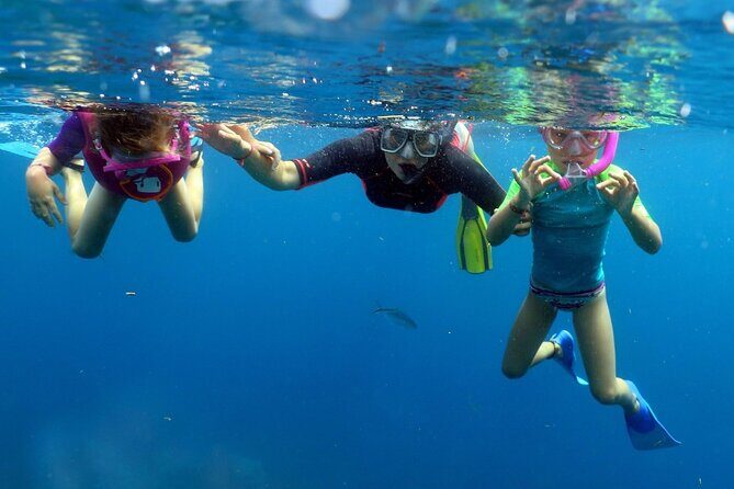 Fantastic Catalina island, beach and depth - Price and value: what $113 covers, and where extra costs pop up