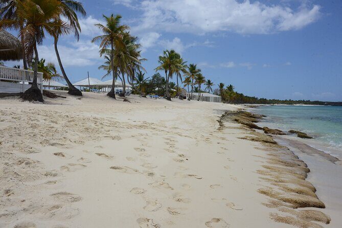 Fantastic Catalina island, beach and depth - Should you book this Catalina and Rio Chavón day?
