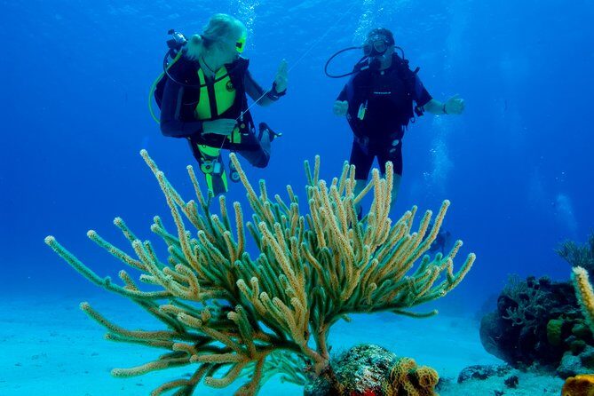 First Time Scuba Diving Experience in Punta Cana - Pool training lesson: the confidence builder you don’t want to rush