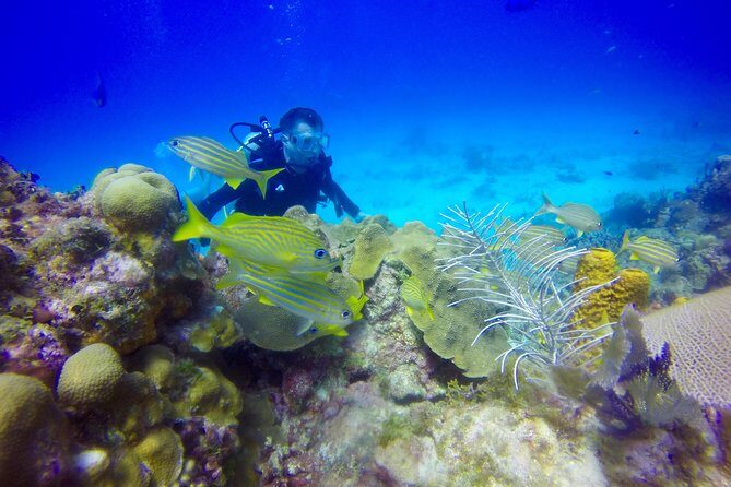 First Time Scuba Diving Experience in Punta Cana - Price and value: is $199 per person a fair deal?