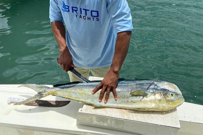 Fishing And Eating Straight From The Sea ( SAONA ISLAND AND PALMILLA) - Offshore Fishing: Time Well Spent on Calm Water
