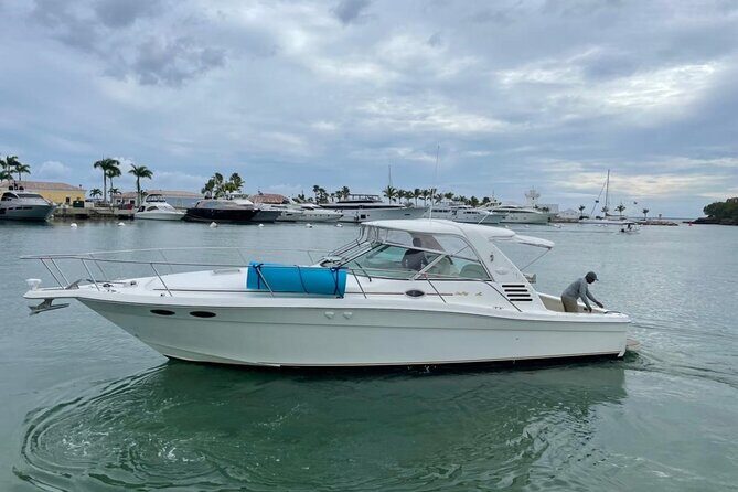 Fishing And Eating Straight From The Sea ( SAONA ISLAND AND PALMILLA) - Weather Rules, Time Window, and When to Rebook Fast