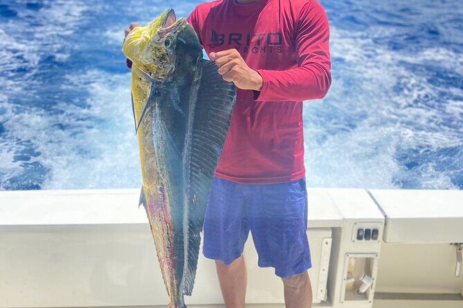 Fishing And Eating Straight From The Sea ( SAONA ISLAND AND PALMILLA) - Palmilla Natural Pool: Sea-Star Photos and a Real Swim Break