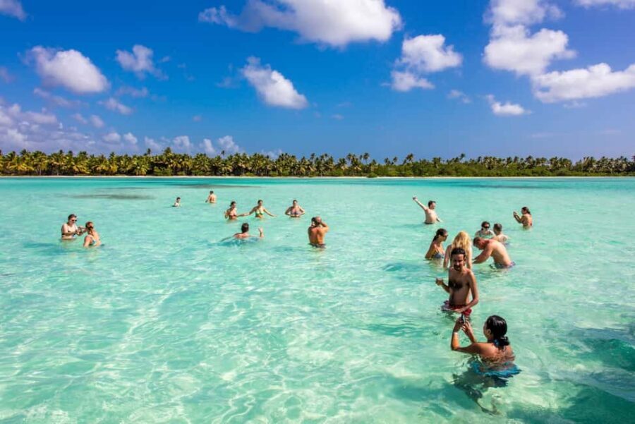 From Punta Cana: Saona Island Cruise with Private Beach - Who this Saona cruise suits best
