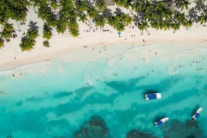 From Santo Domingo Saona Island Food And Drink Catamaran Vip - A straightforward day with food on the boat