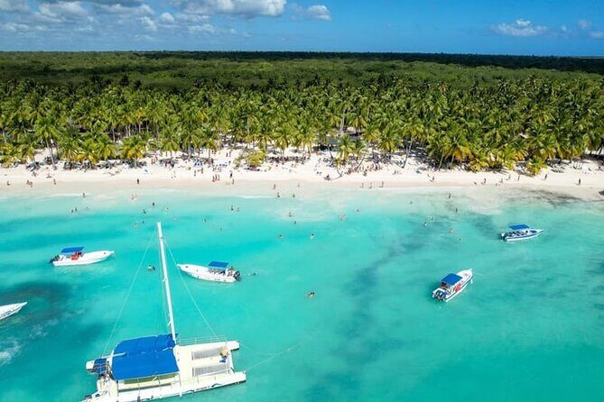 From Santo Domingo Saona Island Food And Drink Catamaran Vip - Isla Saona: 2 hours 45 minutes to explore reefs, mangroves, and beaches