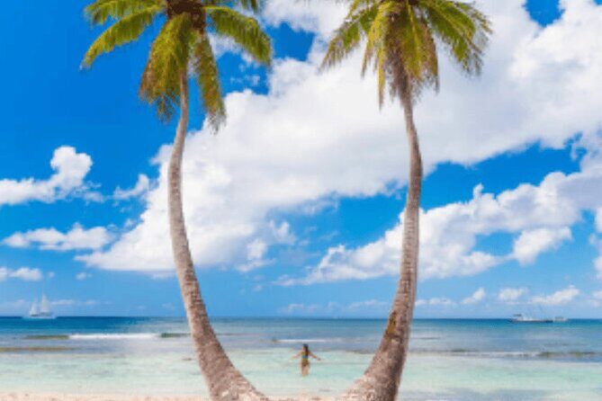 From Santo Domingo Saona Island Food And Drink Catamaran Vip - VIP food and drink: included basics, plus the party factor