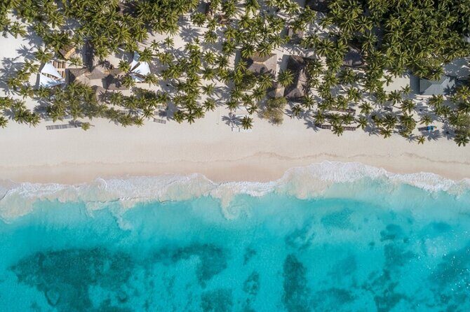 From Santo Domingo Saona Island Food And Drink Catamaran Vip - Price and logistics: is $95 worth it for you?