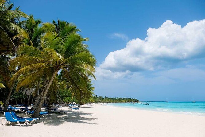 From Santo Domingo: Saona Island For Small Group Catamaran - The return catamaran party: entertainment + soft drinks