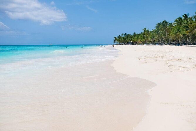 From Santo Domingo: Saona Island For Small Group Catamaran - Price and value: is $105.61 worth it?