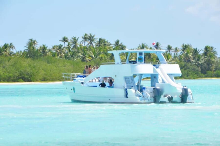 From Santo Domingo: Whale Watching & Cayo Levantado - Guide, Driver, and Languages: Getting Answers Without a Language Barrier