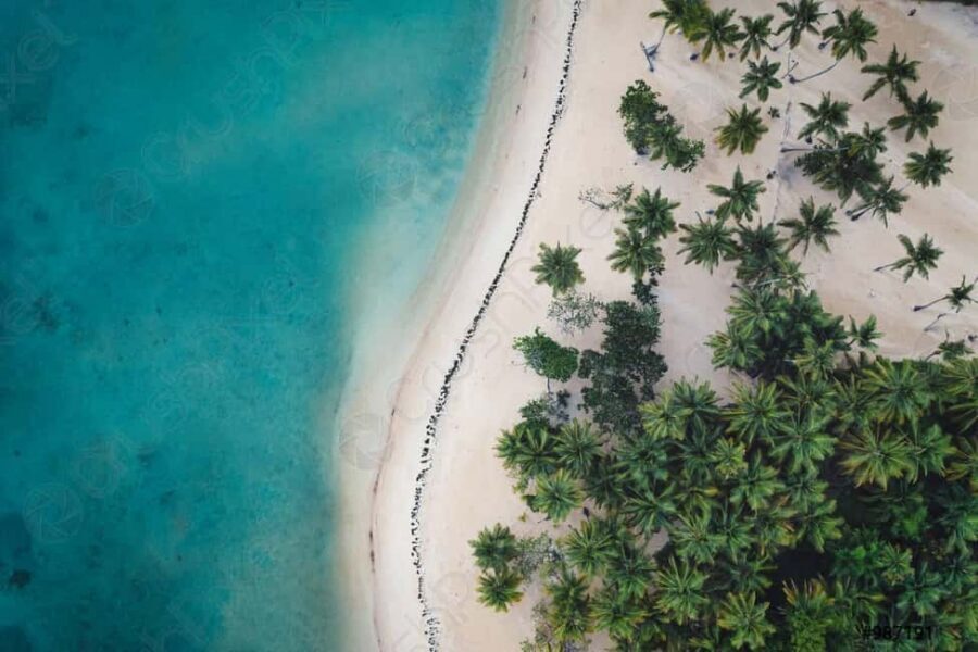 From Santo Domingo: Whale Watching & Cayo Levantado - Who This Tour Suits Best (and Who Might Feel It’s Not Enough)