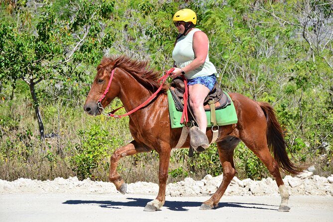 Full Access To Bavaro Adventure Park - With Buggys & Lunch - Zipline Circuit Into a Splash Pool: Built for First-Timers, Still Serious Fun