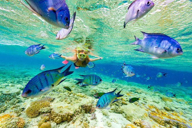 Full-Day Adventure: 4x4 Experience, Snorkeling Cruise, Sharks & Rays - Playa Macao and Cabeza de Toro: quick beach time with real scenery
