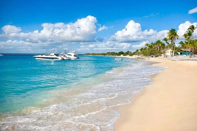 Full-day at Catalina Island from Santo Domingo with optional snorkeling included - Catalina Island from Santo Domingo: what makes this day trip work