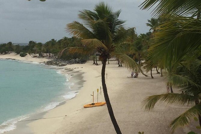 Full-day at Catalina Island from Santo Domingo with optional snorkeling included - Lunch on Casa de Campo’s private Catalina beach