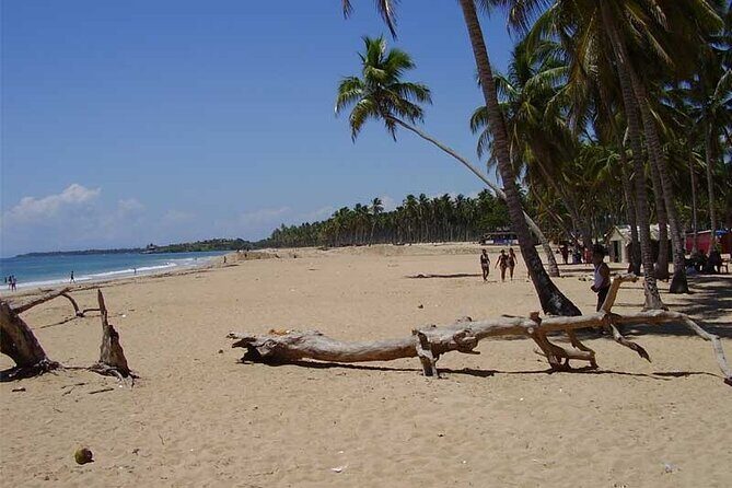 Full-Day Blue Lagoon Tour in Dominican Republic - What you’re really getting: Blue Lagoon day, not just a swim stop
