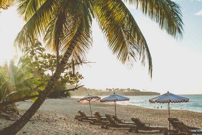 Full-Day Blue Lagoon Tour in Dominican Republic - Playa Grande for lunch and crystal-clear time