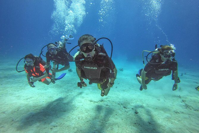 Full-Day Catalina Island Scuba Diving Tour from La Romana - Key Things I’d Watch Before Booking