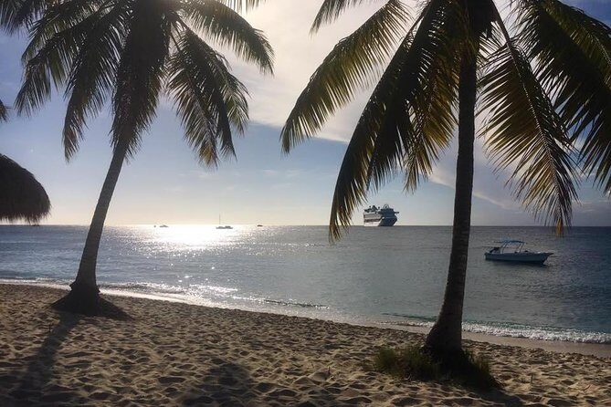Full-Day Catalina Island Scuba Diving Tour from La Romana - The Aquarium: Dense Fish Life and a More Snackable Feeling