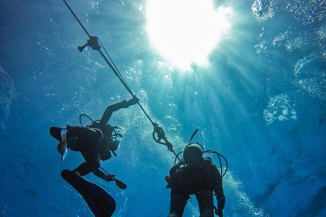 Full-Day Catalina Island Scuba Diving Tour from La Romana - Price and Value: What $123.25 Gets You (and What It Doesn’t)