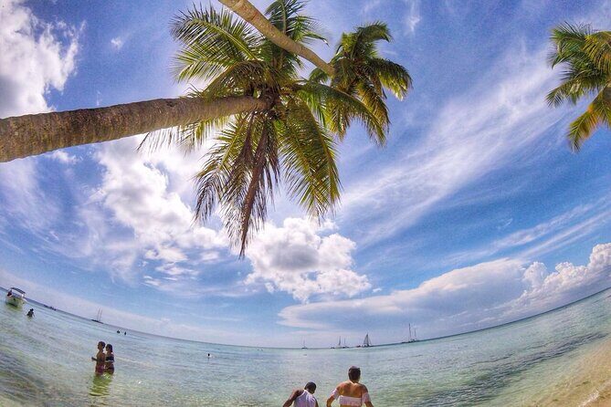 Full-Day Cruise of Isla Saona from Santo Domingo with Lunch - Price and Value: is $99.95 a good deal for Saona day time?