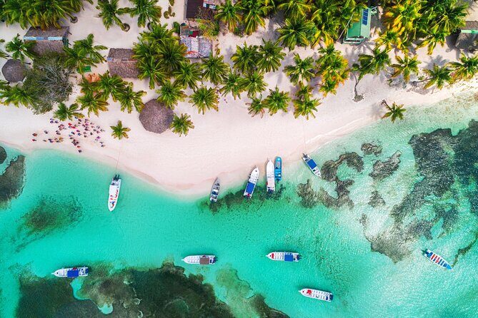 Full-Day Cruise of Isla Saona from Santo Domingo with Lunch - Isla Saona Beach Time: four hours that can feel short (in a good way)