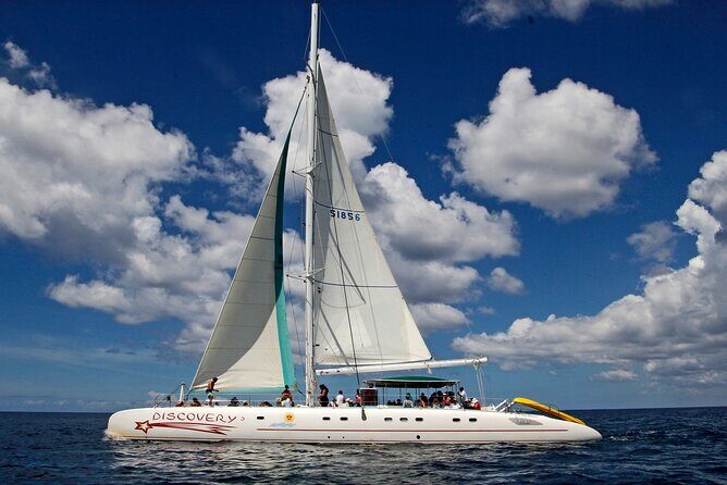 Full-Day Saona Island Tours All Inclusive - Key highlights for Saona Island in a single day