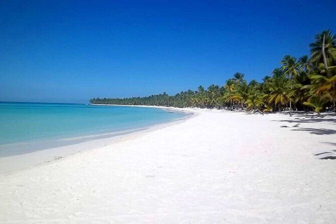 Full-Day Saona Island Tours All Inclusive - Hotel pickup from Punta Cana: the 7:30am reality