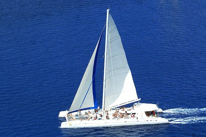 Full-Day Saona Island Tours All Inclusive - Group size, pacing, and the real-world logistics