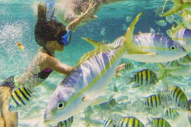 Full-Day Tour Isla Bonita Deluxe - The On-Boat Staff and the Small Touches That Matter