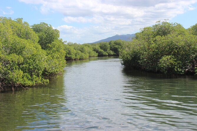 Full-Day Tour Isla Bonita Deluxe - Monte Cristi National Park: Mangrove Tunnels and Wildlife Moments