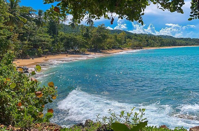 Full Day Tour to the Blue Lagoon and 7 Different Destinations - Lunch by the sea: the included meal that keeps the day moving