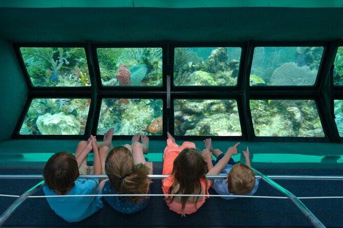 Glass-bottom boat tour to Punta Cana - Key Highlights You’ll Care About