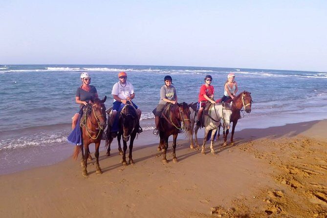 Half-Day Beach Horse Back Riding in Puerto Plata - The Jungle-to-Beach Transition: Why This Part Matters