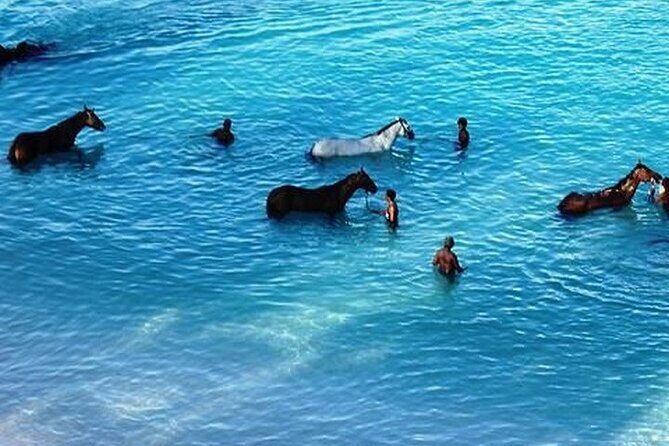 Half-Day Beach Horse Back Riding in Puerto Plata - The Possible Sea Dip With Your Horse (And Why It Isn’t Guaranteed)