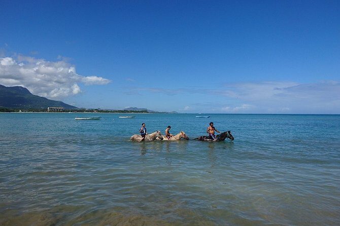 Half-Day Beach Horse Back Riding in Puerto Plata - Horses and Guides: Calm Control Is the Real Luxury