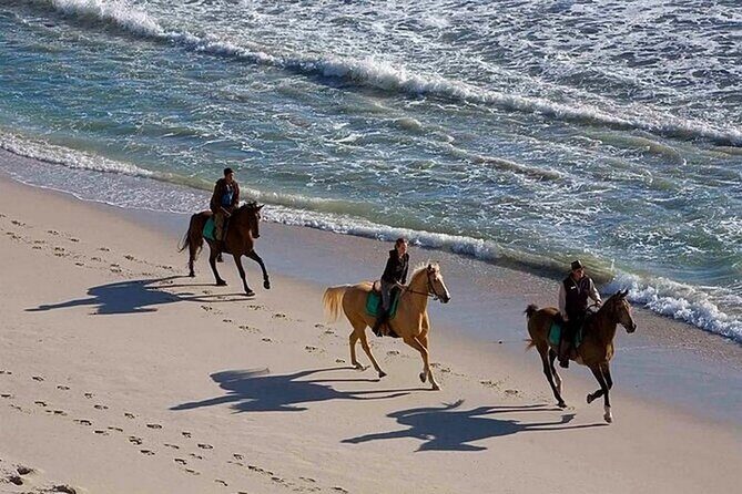 Half-Day Beach Horse Back Riding in Puerto Plata - The Rhythm of the Half-Day Schedule (What You’ll Actually Feel)