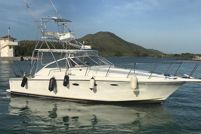 Half Day Big Game Fishing private charter - The Boat and Crew Setup: What You’re Really Paying For