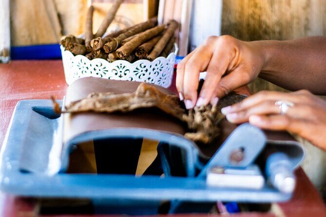Half-Day Buggy Guided Adventure for Amber Cove and Taino Bay - Stop for cigars, hot chocolate, coffee, and Mama Juana