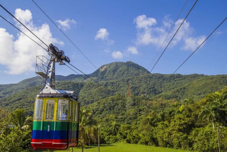 Half Day Cultura Tour of the City of Special for Cruise Ship - Key things you’ll notice fast
