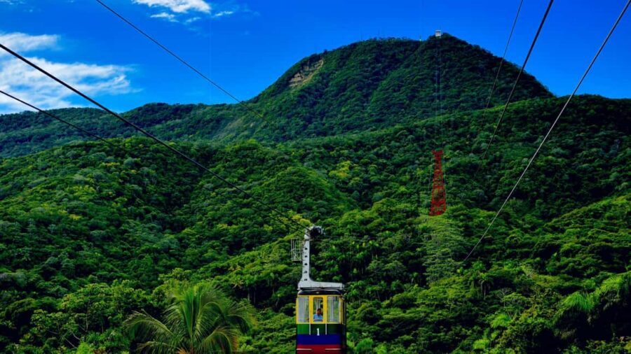 Half Day Cultura Tour of the City of Special for Cruise Ship - Language and guide style: what helps you enjoy it