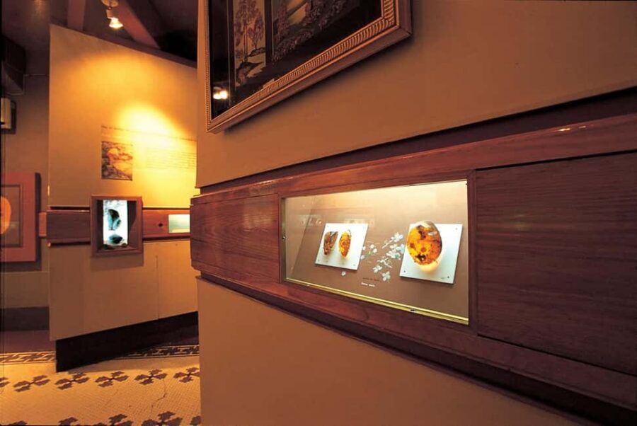 Half Day Cultura Tour of the City of Special for Cruise Ship - Museo del Ambar Dominicano: Victorian architecture and Dominican amber