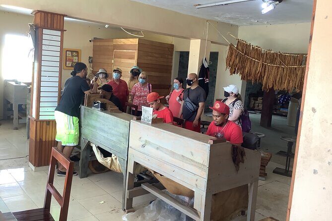 Half Day Private Tour in Dominican Republic with Local Guide - Mercado Municipal: where locals buy basics