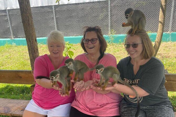 Half Day Puerto Plata City Tour and Monkey Home Visit - Key Highlights You’ll Actually Use