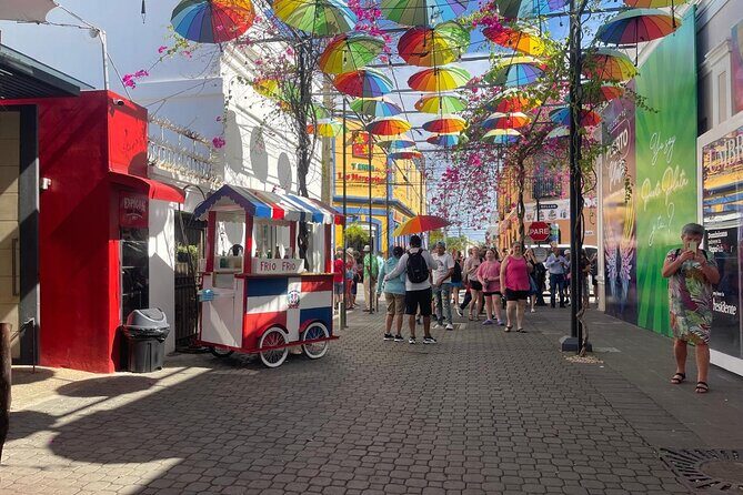 Half Day Puerto Plata City Tour and Monkey Home Visit - Stop 4: Del Oro Chocolate Factory for a Cocoa and Chocolate Reality Check