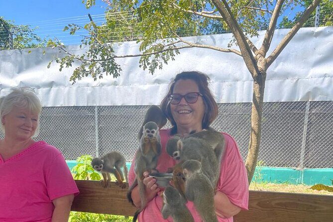 Half Day Puerto Plata City Tour and Monkey Home Visit - Stop 5: Puerto Plata Upper Part Viewpoints and That “You Mean This Is the Town?” Feeling